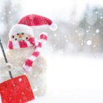 filling rentals during the holiday season, Snow removal notice, snow removal policy